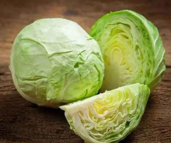胶菜卷心菜白菜娃娃菜别傻傻分不清了