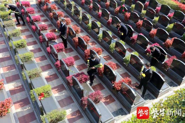 南京西天寺陵园举办清明代市民祭扫公益活动