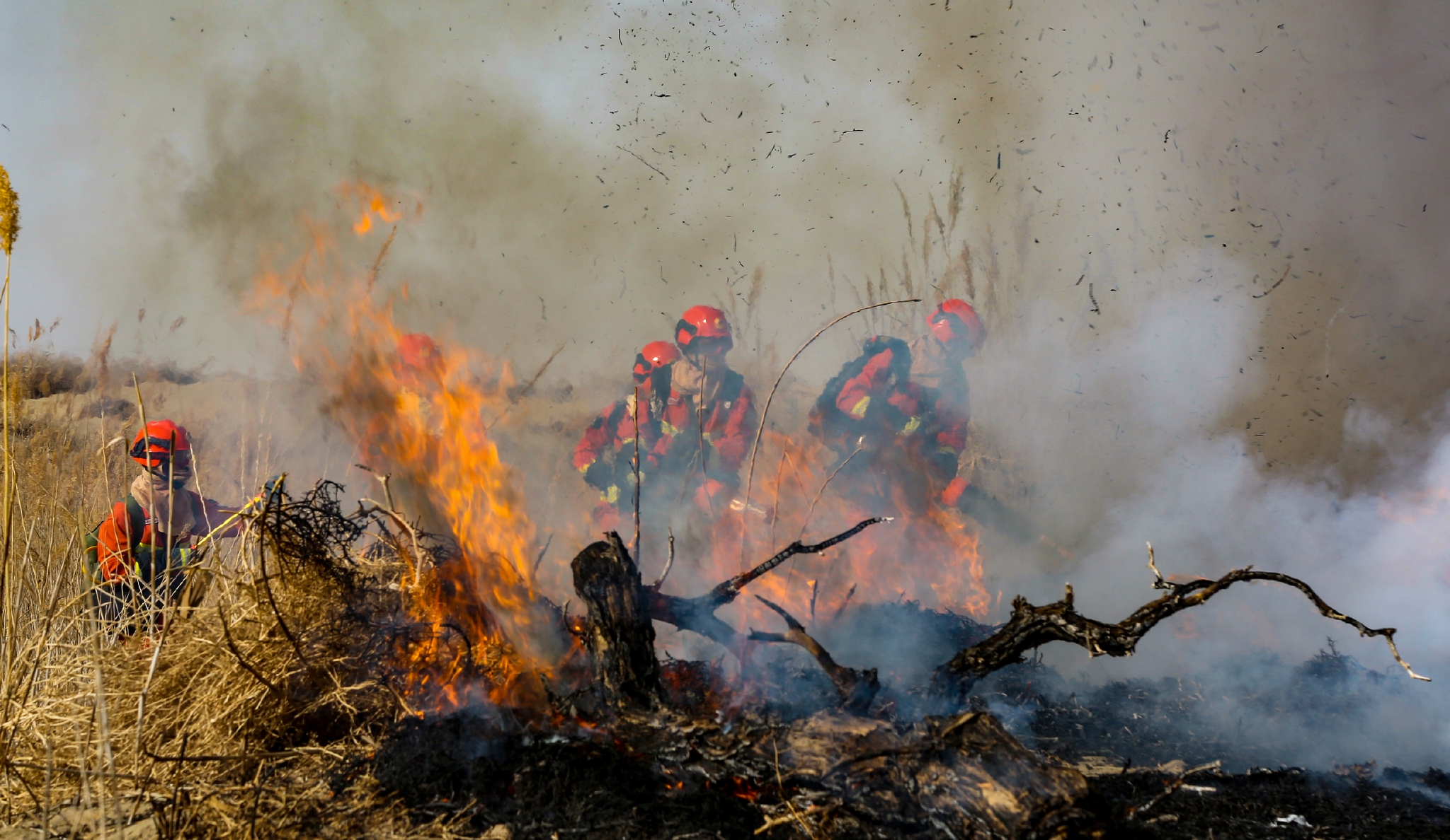 多部门灭火实战演练提升森林草原火灾联合扑救能力