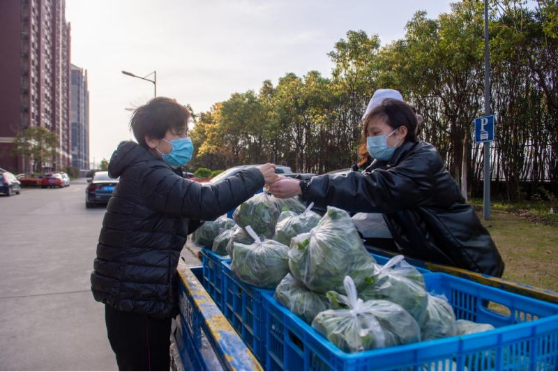 你有圃我有田 校园劳动教育自留地香了 缓解 蔬菜焦虑 六千斤绿叶菜上桌 上海建桥学院 新冠肺炎 新浪新闻