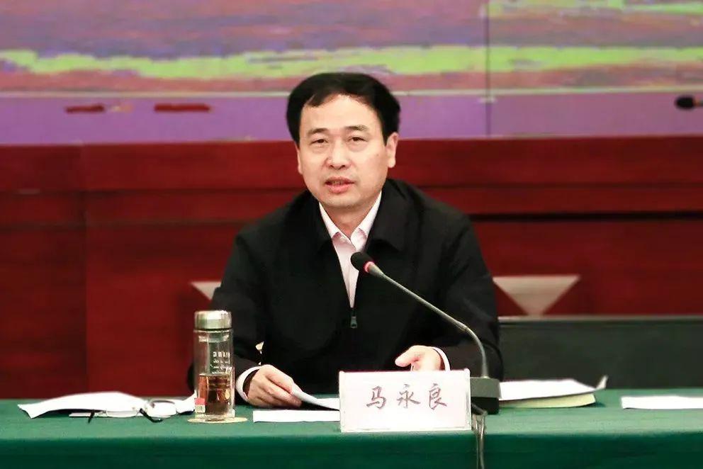 浙江省发改委副主任马永良被查