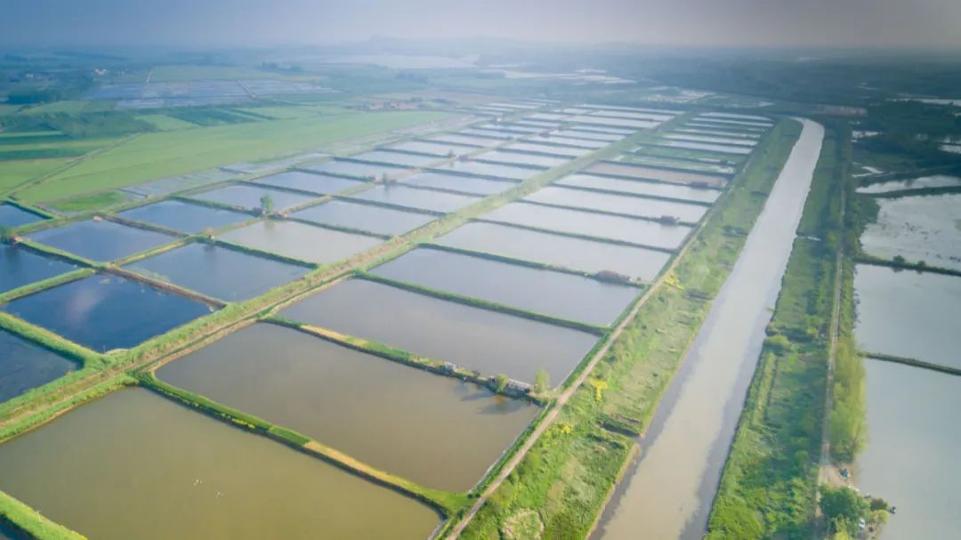 下午1点，十堰这家餐厅刚做好的虾被紧急送往武汉...休闲区蓝鸢梦想 - Www.slyday.coM