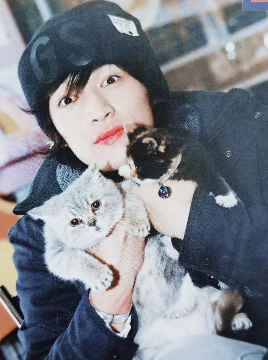 胡歌新电影,阵容有惊喜?黄磊、吴磊都曾出现!休闲区蓝鸢梦想 - Www.slyday.coM 胡歌新电影,阵容有惊喜?黄磊、吴磊都曾出现!休闲区蓝鸢梦想 - Www.slyday.coM