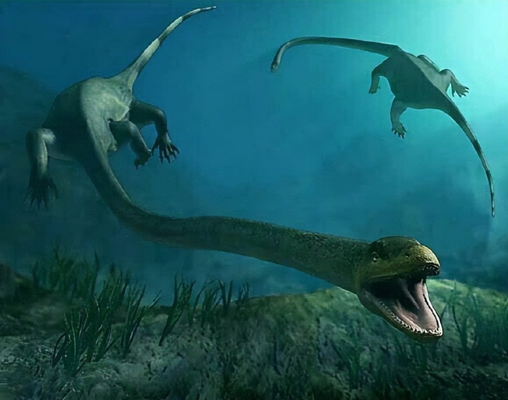 但蛇颈龙并不是最早拥有长脖子专利的爬行动物,在比蛇颈龙出现时间更