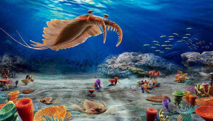 多国大学共推新研究寒武纪生命爆发地云南澄江是现代动物发源地