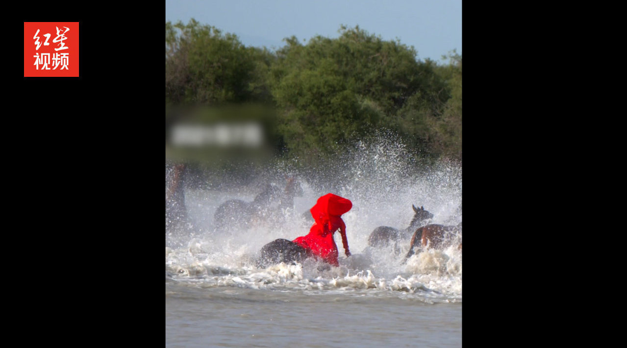 策马雪原副局长贺娇龙月均带货破两千万：骑马摔伤致胸腔积液 两年零社交零娱乐
