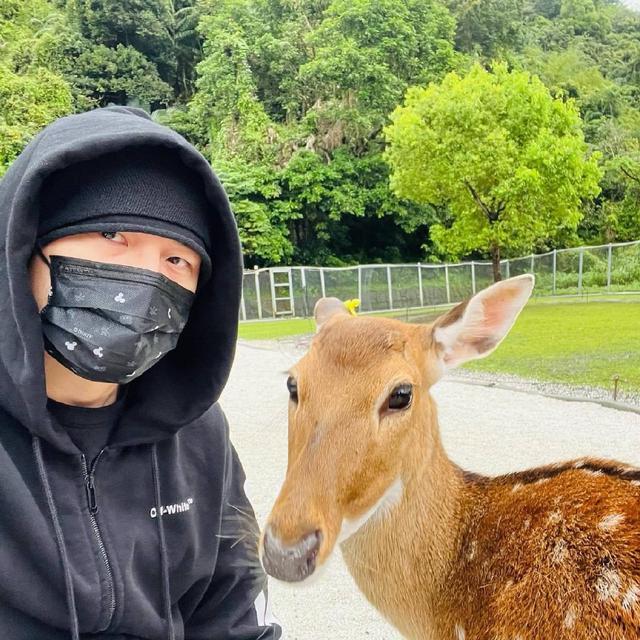 周杰伦和怀孕的昆凌去郊游 夫妻俩分别和小鹿合影秀恩爱休闲区蓝鸢梦想 - Www.slyday.coM