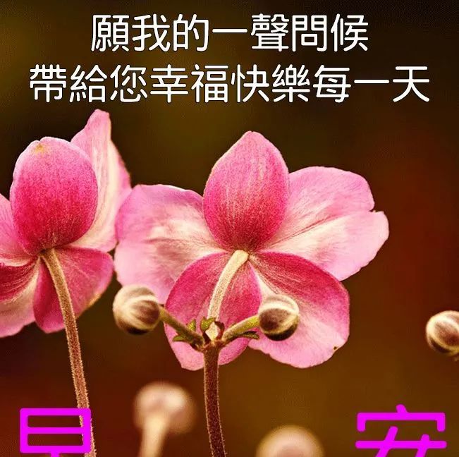 有创意好看的早安早上好图片带祝福语早安祝福图片唯美小清新