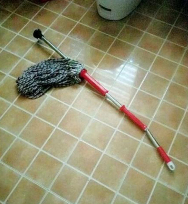 萨摩耶突然变得好乖巧了，网友去到阳台后，看到让人愤怒的一幕休闲区蓝鸢梦想 - Www.slyday.coM