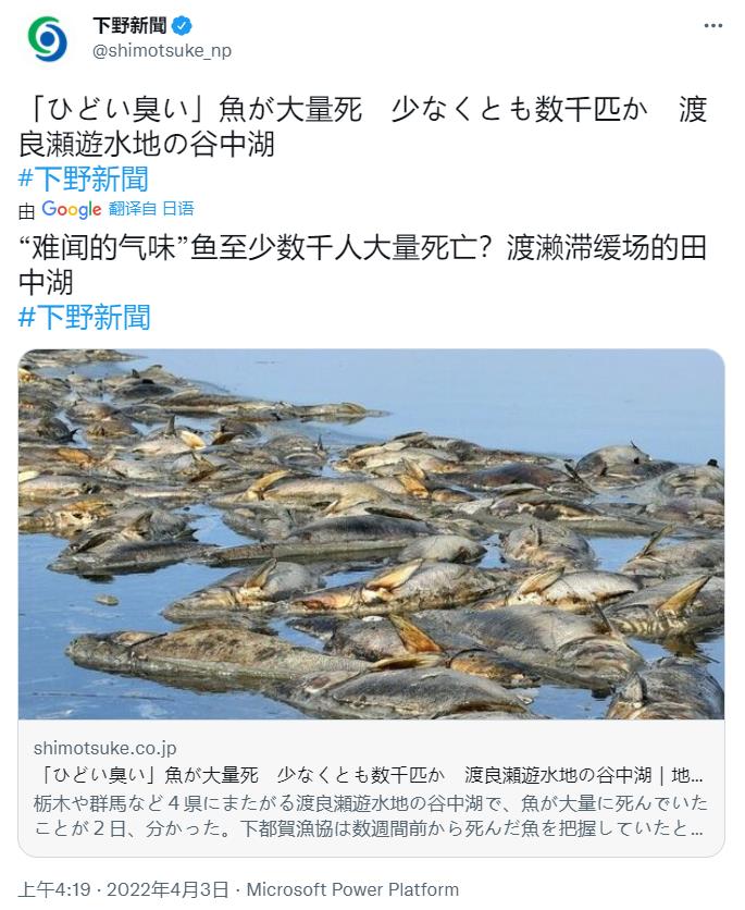 地震火山要爆发了吗?日本一湖泊惊现大量死鱼:离东京不到60千米休闲区蓝鸢梦想 - Www.slyday.coM 地震火山要爆发了吗?日本一湖泊惊现大量死鱼:离东京不到60千米休闲区蓝鸢梦想 - Www.slyday.coM