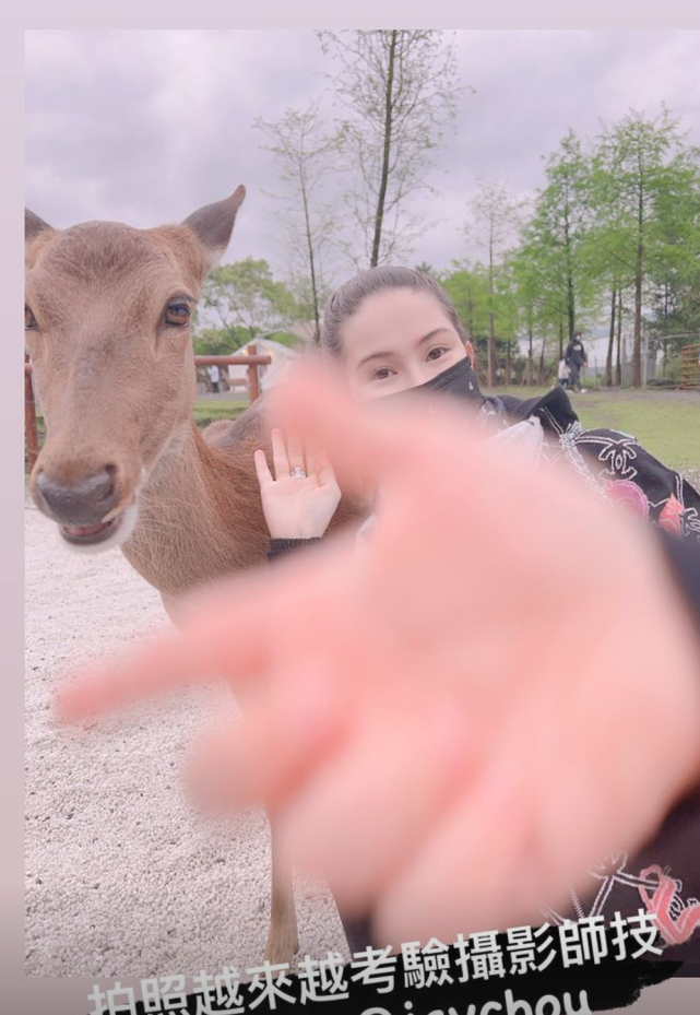 周杰伦和怀孕的昆凌去郊游 夫妻俩分别和小鹿合影秀恩爱休闲区蓝鸢梦想 - Www.slyday.coM