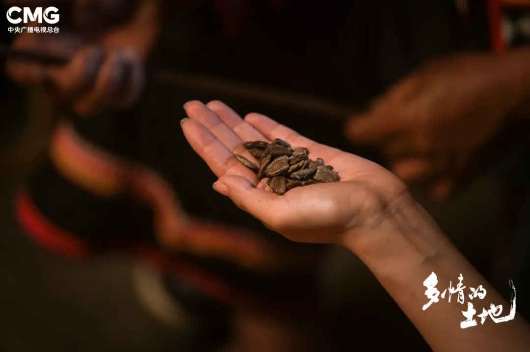 收获种子结束后的感想