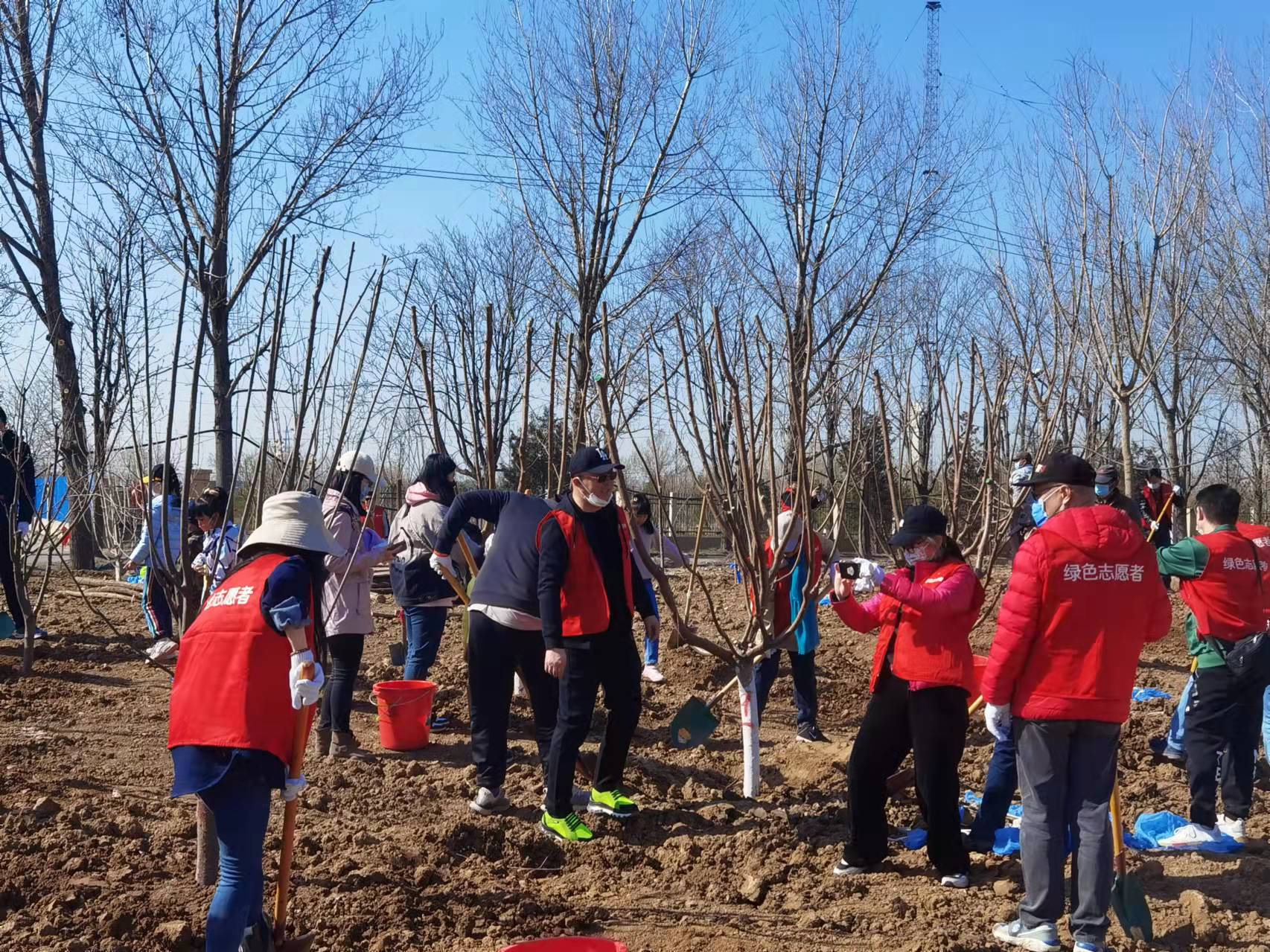 石景山区在衙门口城市森林公园基地开展社会义务植树活动