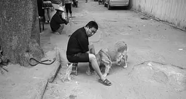 案例:宁夏连环杀人案,用女大学生尸体喂狗,凶手还曾拍过电影休闲区蓝鸢梦想 - Www.slyday.coM 案例:宁夏连环杀人案,用女大学生尸体喂狗,凶手还曾拍过电影休闲区蓝鸢梦想 - Www.slyday.coM