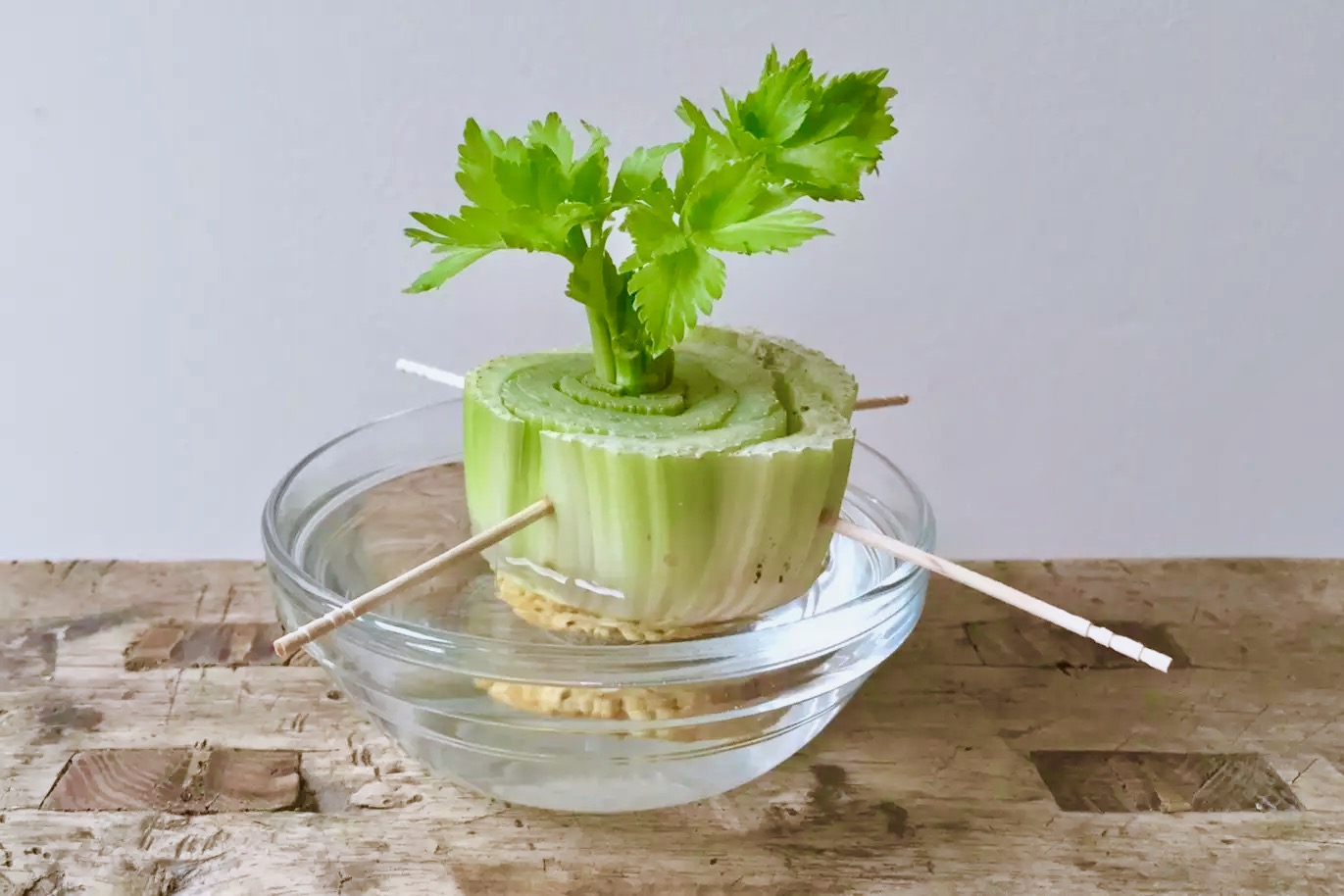 水培芹菜 &nbsp;allrecipe 图