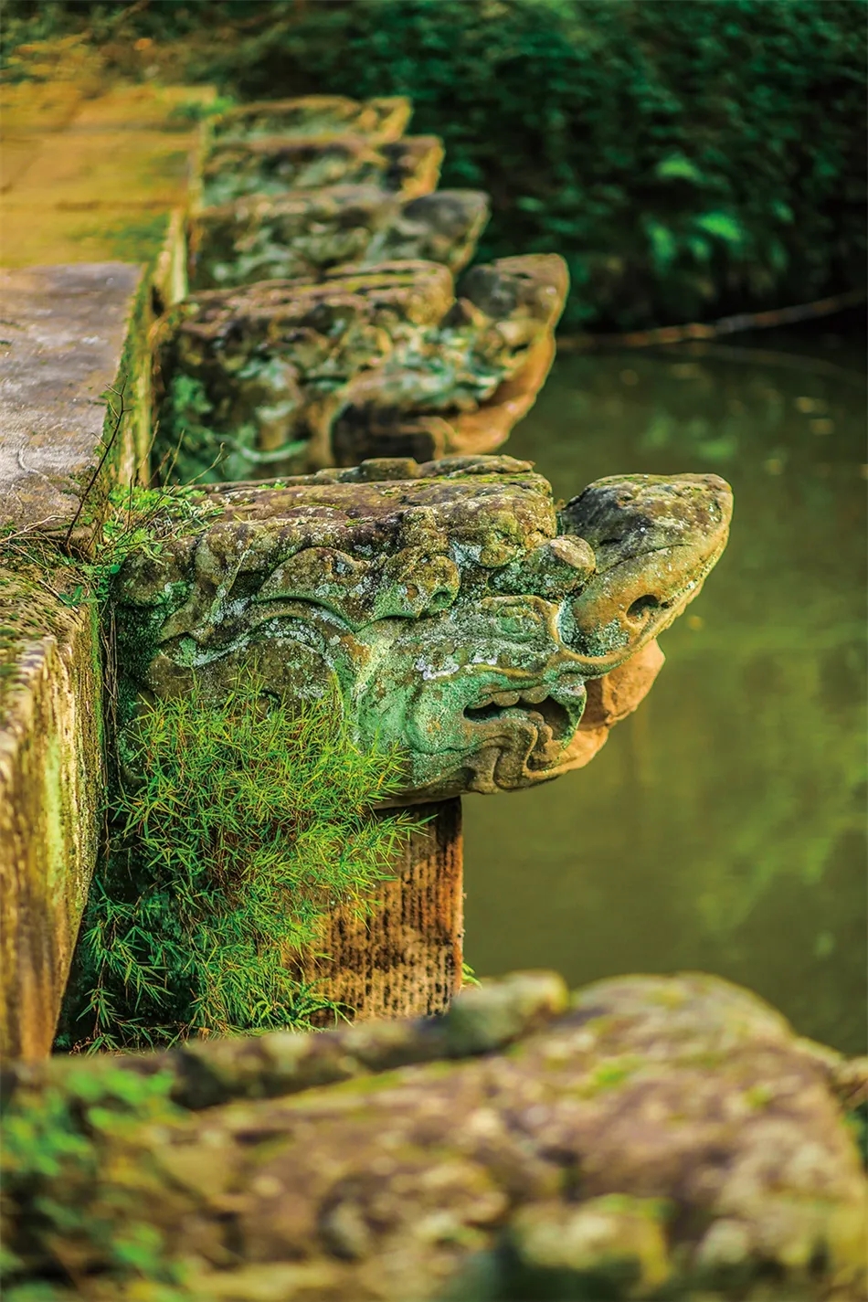 翠堤生态文化长廊上的九龙桥