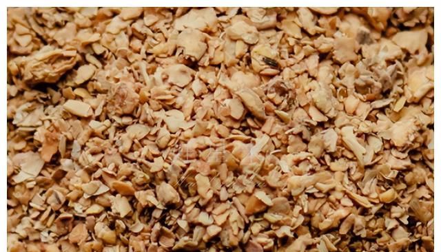 续涨！今天，每吨玉米价格上涨11元，且升破2900元吨，为何休闲区蓝鸢梦想 - Www.slyday.coM