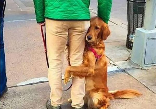 收养了1个月的狗狗,被送回村里奶奶家寄养,临别时紧抱主人不放休闲区蓝鸢梦想 - Www.slyday.coM 收养了1个月的狗狗,被送回村里奶奶家寄养,临别时紧抱主人不放休闲区蓝鸢梦想 - Www.slyday.coM