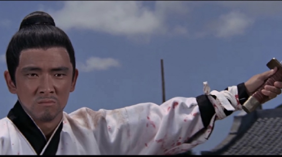 从影三十余年来,王羽共拍摄60多部武打片,参与制作和监制的电影共计有