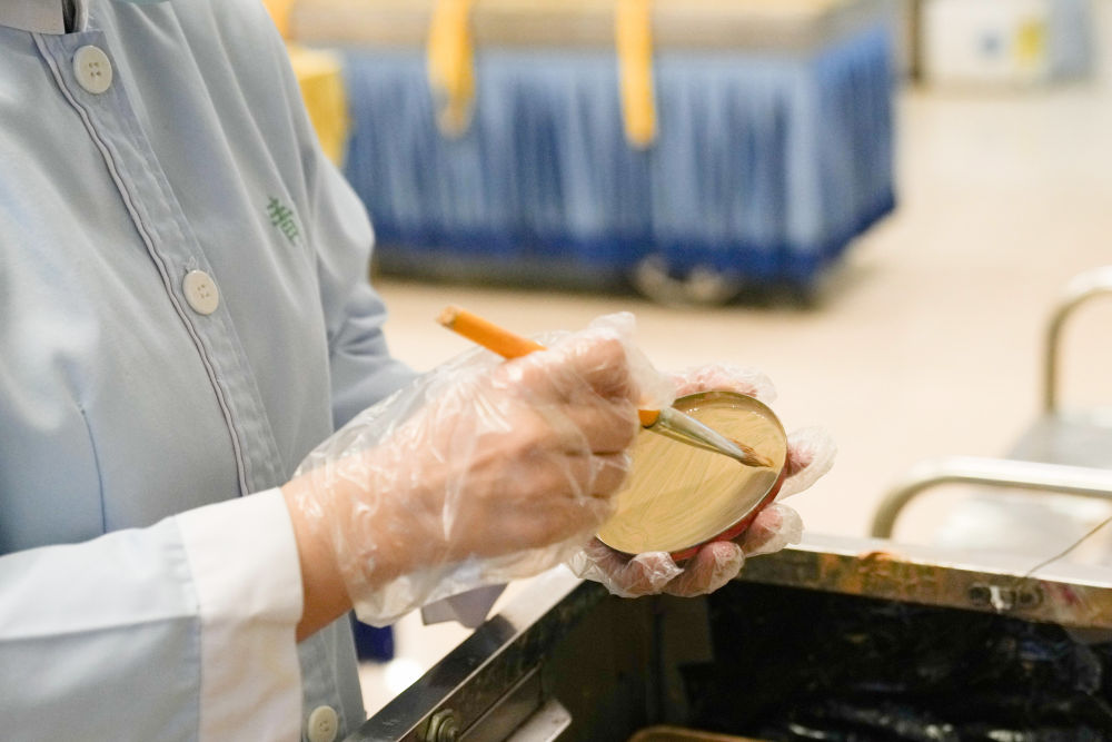 董哲在准备为逝者化妆整容.新华社记者&nbsp;鞠焕宗&nbsp;摄