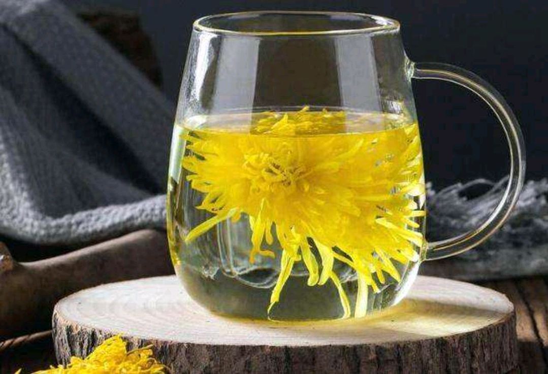 菊花的“黄金搭档”已找到了，一起搭配泡水喝，帮助养护肝脏休闲区蓝鸢梦想 - Www.slyday.coM