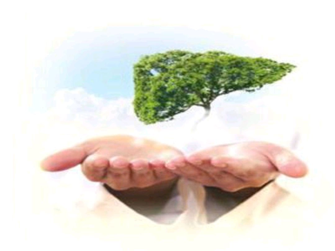 菊花的“黄金搭档”已找到了，一起搭配泡水喝，帮助养护肝脏休闲区蓝鸢梦想 - Www.slyday.coM