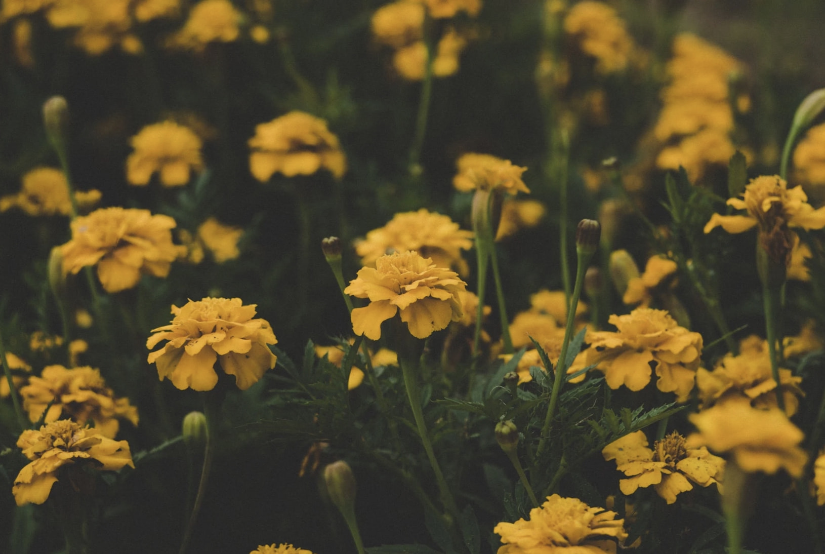 丈夫给第三者18万妻子起诉全要回:婚外情中,原配应有的反击休闲区蓝鸢梦想 - Www.slyday.coM 丈夫给第三者18万妻子起诉全要回:婚外情中,原配应有的反击休闲区蓝鸢梦想 - Www.slyday.coM