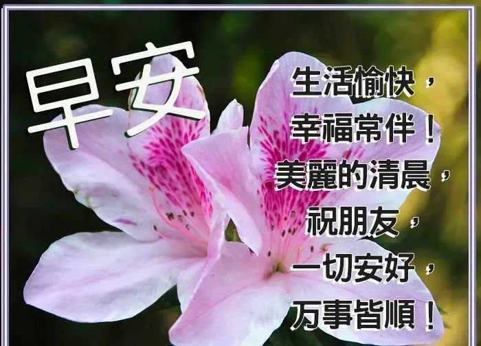 年4月6日最美早上好祝福语表情带文字,早上好的问候语图片__财经头条