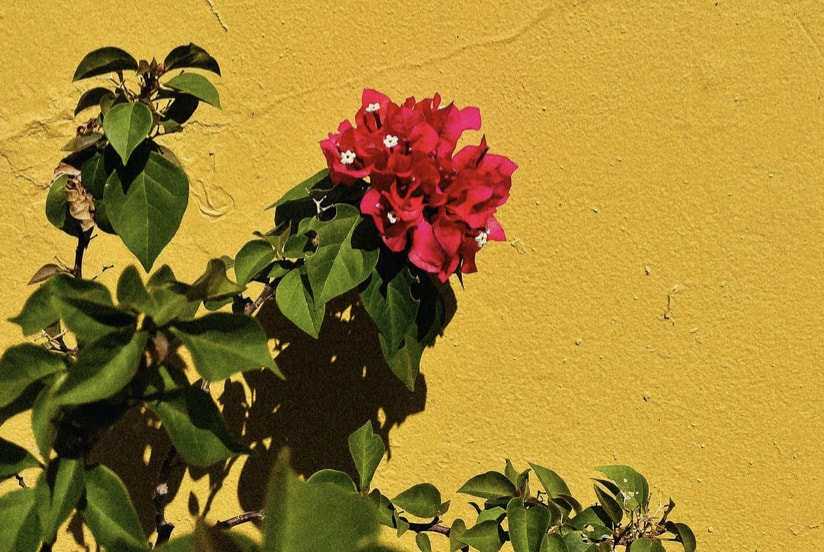 丈夫给第三者18万妻子起诉全要回:婚外情中,原配应有的反击休闲区蓝鸢梦想 - Www.slyday.coM 丈夫给第三者18万妻子起诉全要回:婚外情中,原配应有的反击休闲区蓝鸢梦想 - Www.slyday.coM