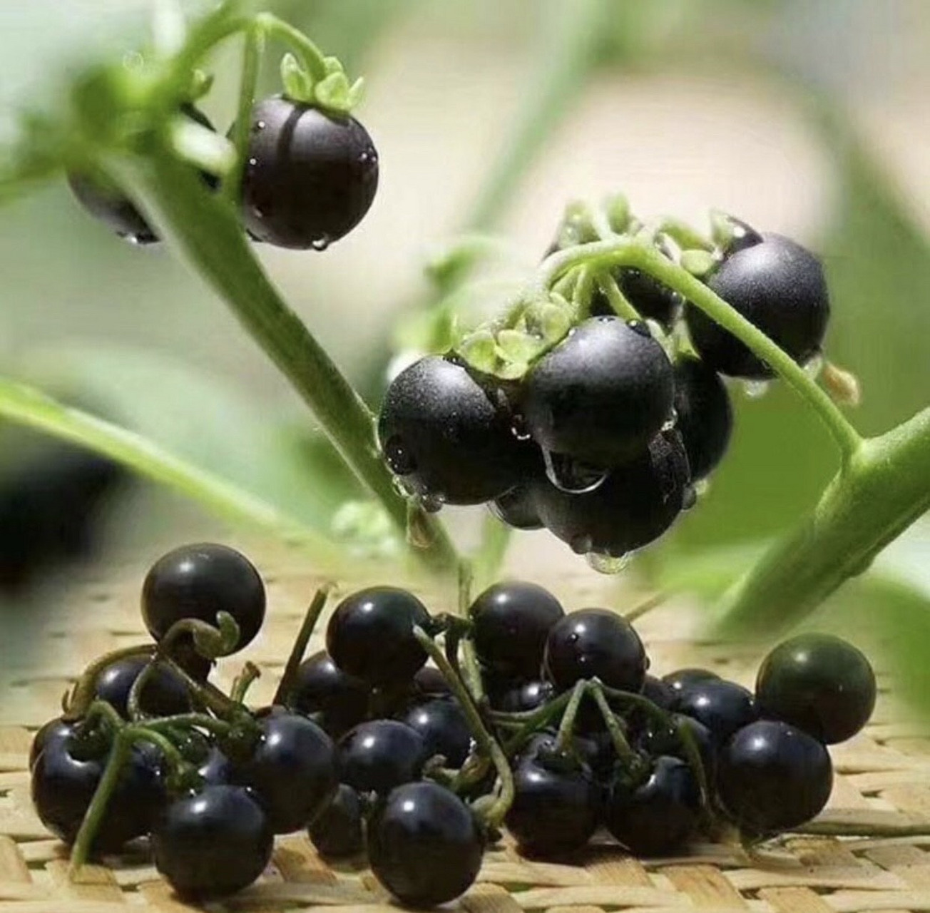 农村70休闲区蓝鸢梦想 - Www.slyday.coM