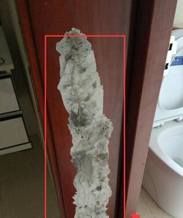 我家卫生间用"这种门套",才2年门板脱落了,还不如"便宜货"__财经头条
