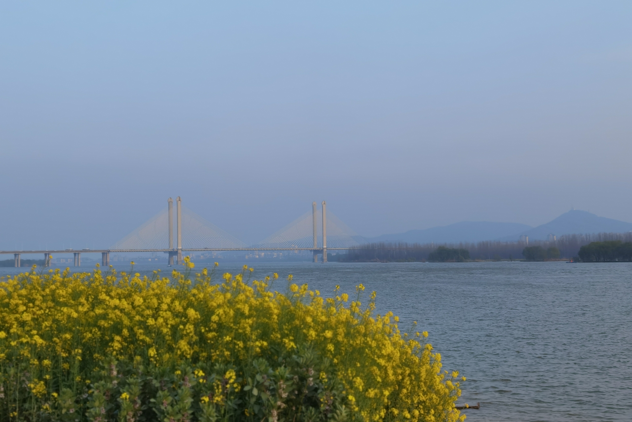 汉江·襄阳樊城:这里的傍晚静悄悄……__财经头条