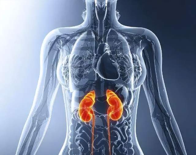 为什么慢性肾脏病容易被忽视