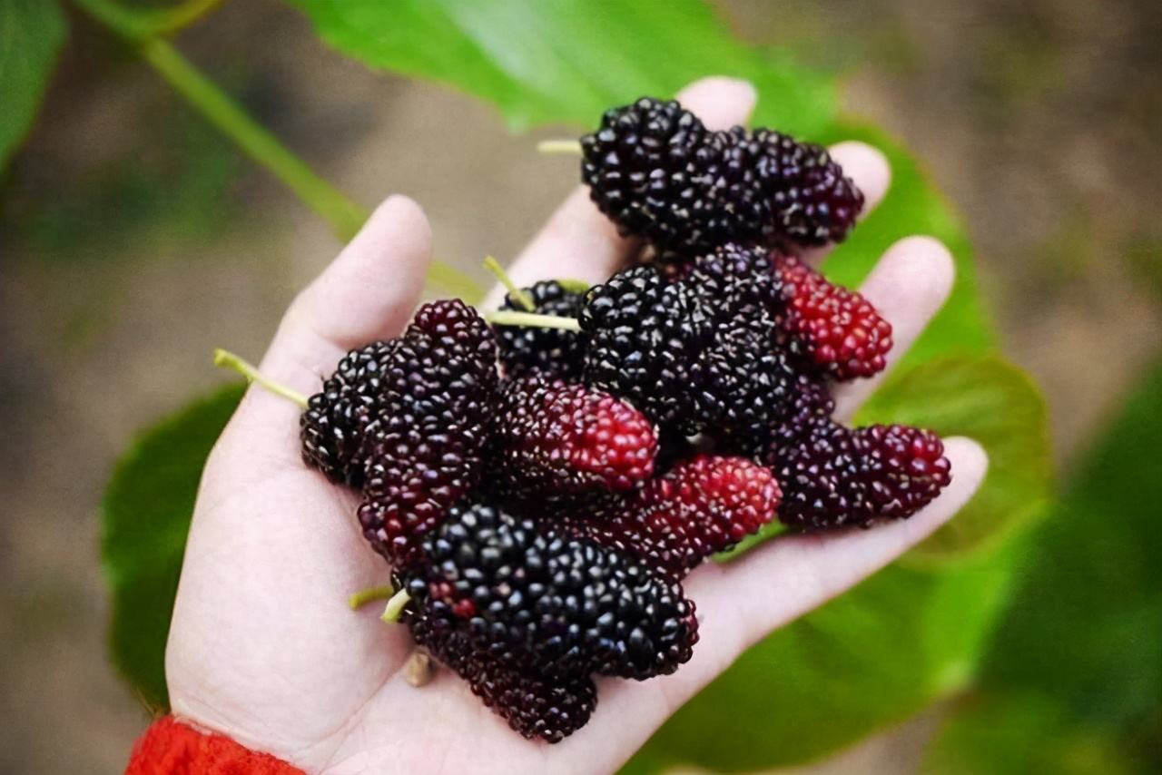 农村70休闲区蓝鸢梦想 - Www.slyday.coM