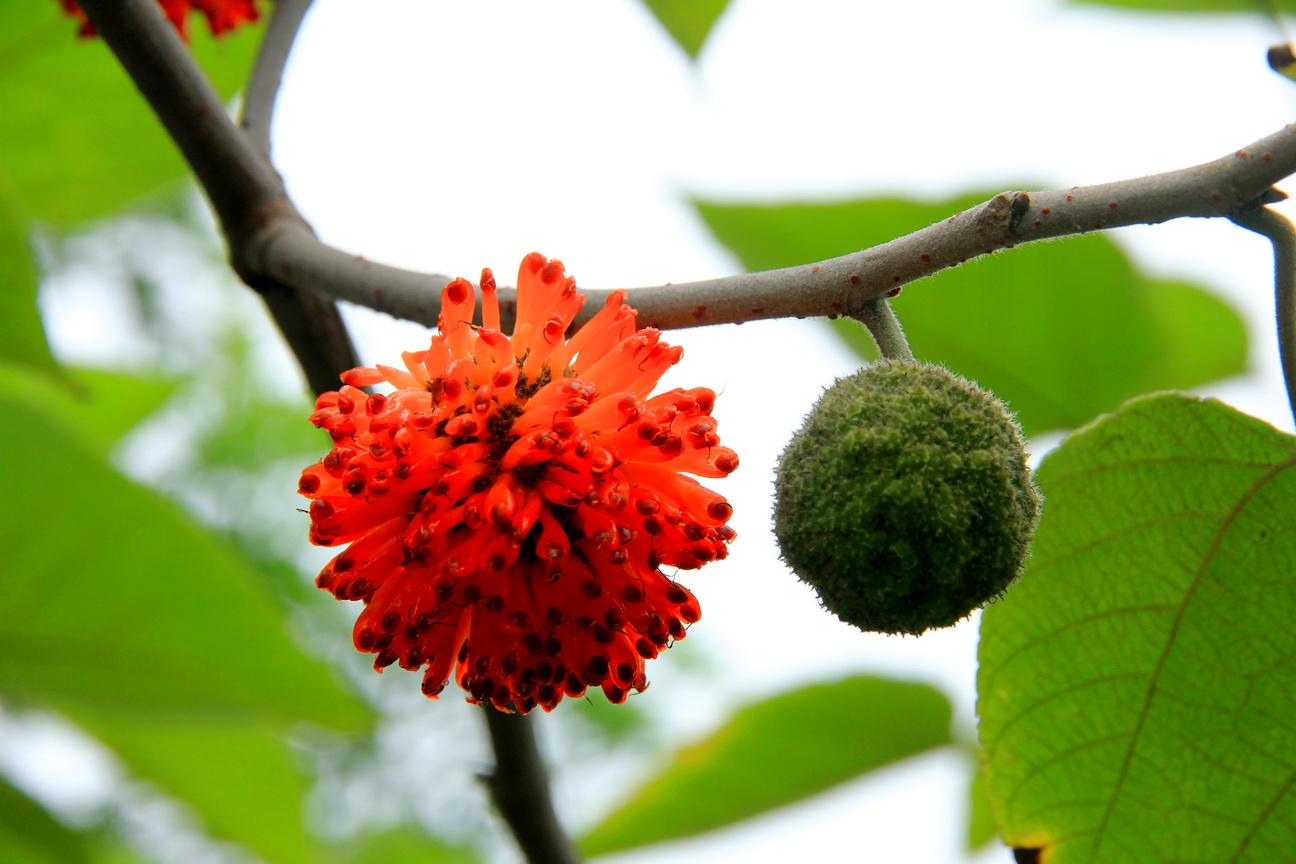 农村70休闲区蓝鸢梦想 - Www.slyday.coM