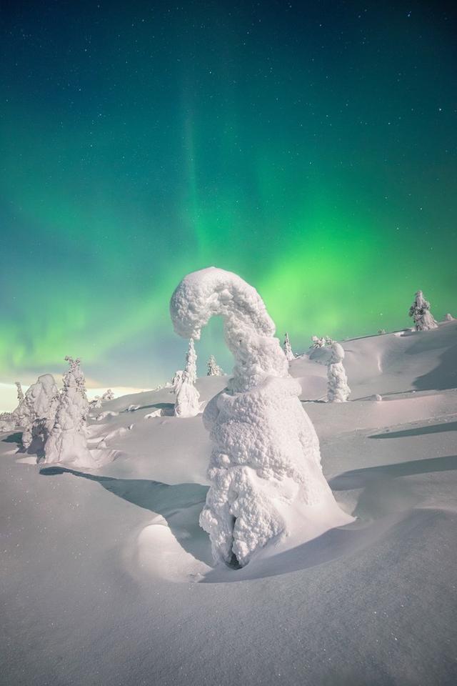 俄罗斯摩尔曼斯克现雪树极光奇景宛如童话世界