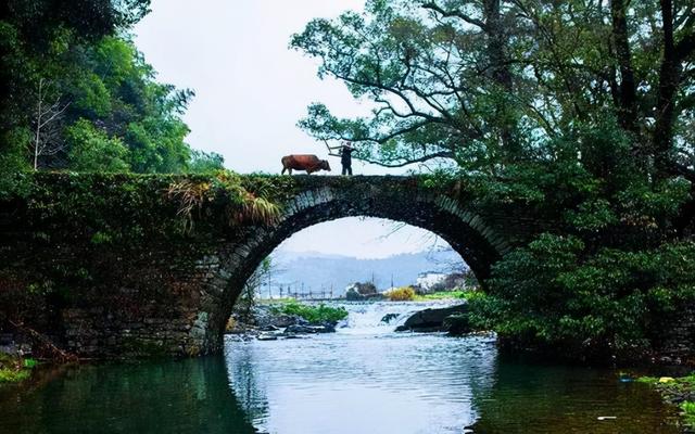 人过五十，请养成“删除”的习惯休闲区蓝鸢梦想 - Www.slyday.coM