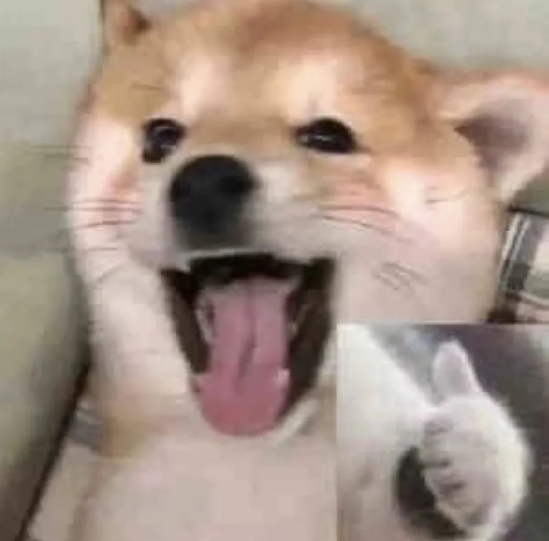 还记得《知否》里的盛墨兰吗？管理身材这么有一套？休闲区蓝鸢梦想 - Www.slyday.coM