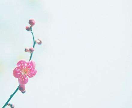 女人真正放下一个人，不是删除，不是拉黑，而是这“两个字”休闲区蓝鸢梦想 - Www.slyday.coM