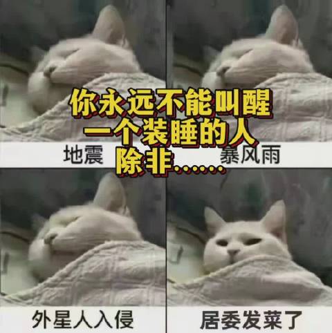 你永远不能叫醒一个装睡的上海人除非上海新增本土确诊824例无症状