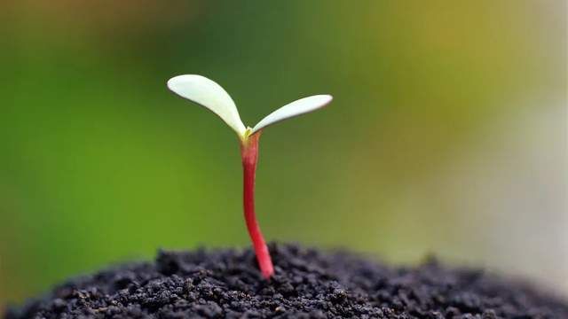 人类为何找不到外星人?科学家:可能我们一直走在错误的路上休闲区蓝鸢梦想 - Www.slyday.coM 人类为何找不到外星人?科学家:可能我们一直走在错误的路上休闲区蓝鸢梦想 - Www.slyday.coM