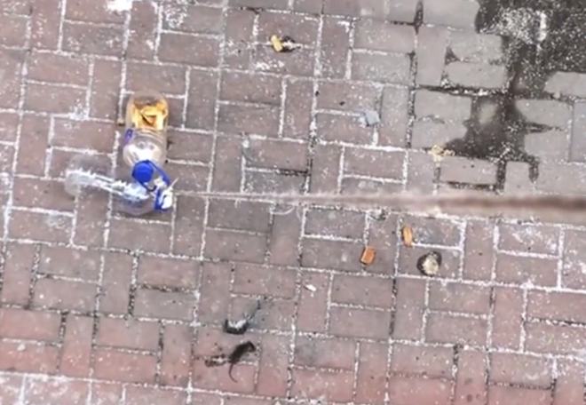 女子隔离后“空投”喂食流浪猫,随后每天都收到老鼠:最好的礼物休闲区蓝鸢梦想 - Www.slyday.coM 女子隔离后“空投”喂食流浪猫,随后每天都收到老鼠:最好的礼物休闲区蓝鸢梦想 - Www.slyday.coM