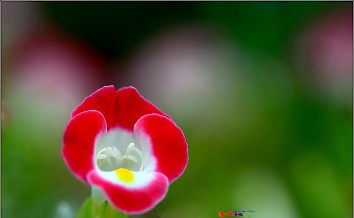 退休后有2类人不能走太近，否则会受伤，你知道是哪2类吗？休闲区蓝鸢梦想 - Www.slyday.coM