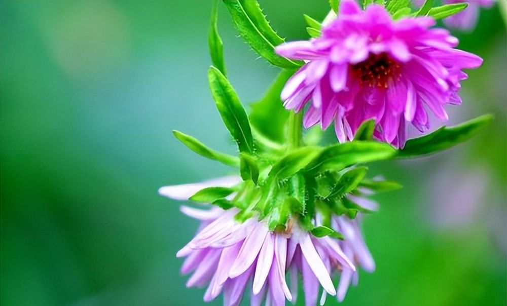 退休后有2类人不能走太近，否则会受伤，你知道是哪2类吗？休闲区蓝鸢梦想 - Www.slyday.coM