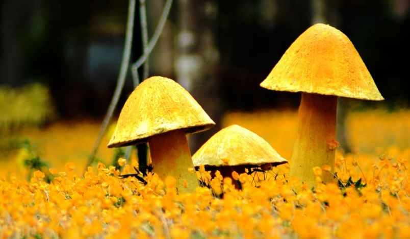 女人真正放下一个人，不是删除，不是拉黑，而是这“两个字”休闲区蓝鸢梦想 - Www.slyday.coM