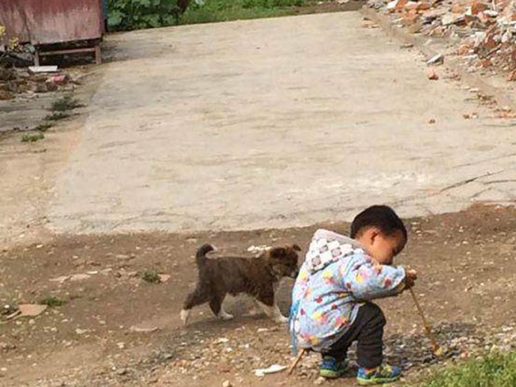 小孩捡回只流浪狗崽，家人称毛色太不吉利，一脸拒绝不让收养休闲区蓝鸢梦想 - Www.slyday.coM