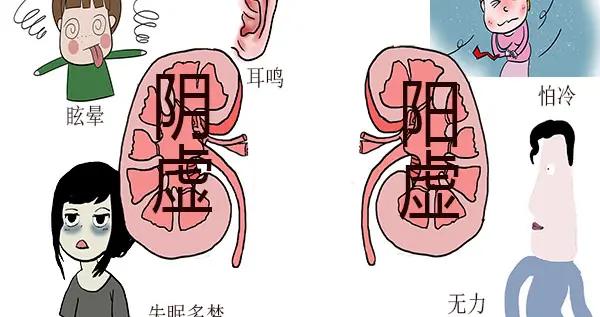 阴阳两虚的人,身体会有哪些表现?先补阳还是先补阴?告诉你答案|阴虚|阴气|阳气|阳虚|滋补_新浪新闻