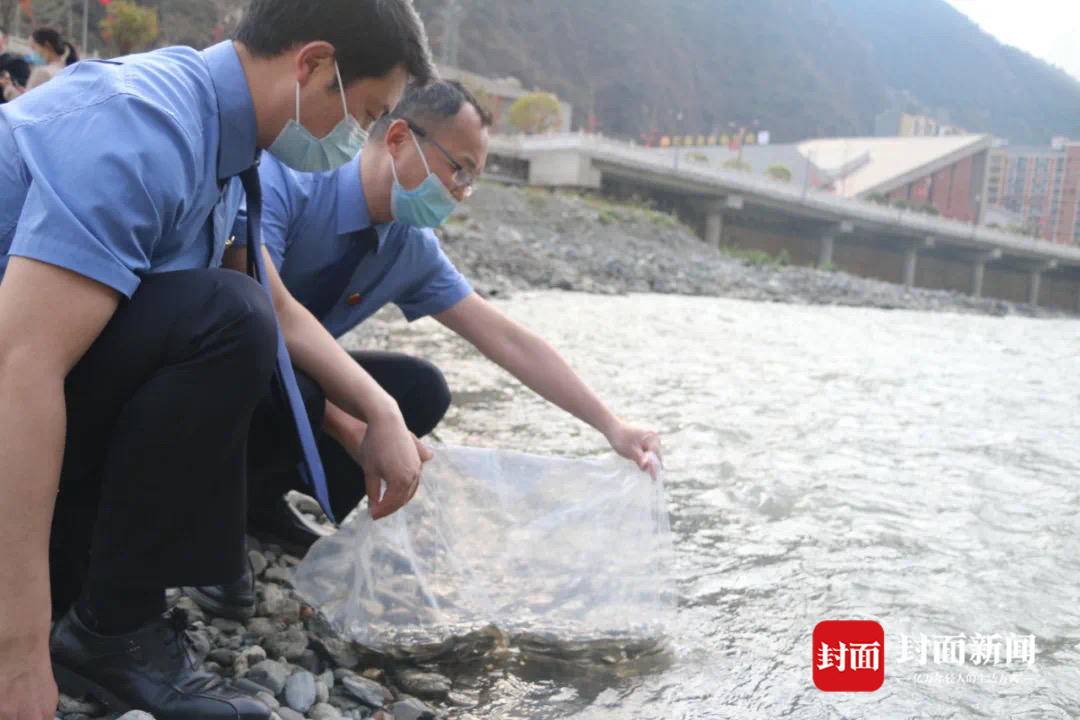 成铁检察机关办理大熊猫国家公园环境资源刑事案件助力生态环境保护