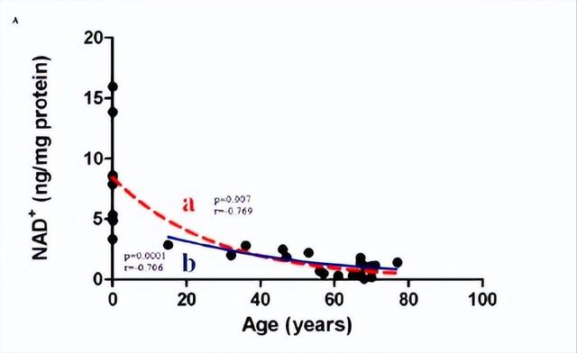 8个变老的原因，6个高效抗衰方法，很多人都不知道休闲区蓝鸢梦想 - Www.slyday.coM