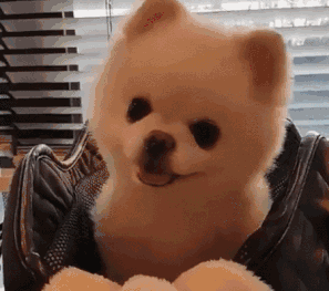 男女常做的一个动作，可能让脖子多支撑4颗脑袋？休闲区蓝鸢梦想 - Www.slyday.coM